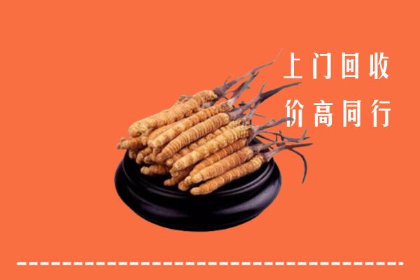 驻马店回收冬虫夏草