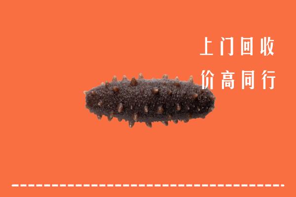 驻马店回收海参
