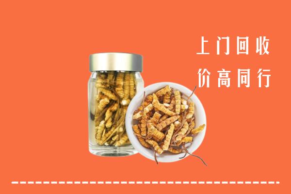 驻马店回收冬虫夏草